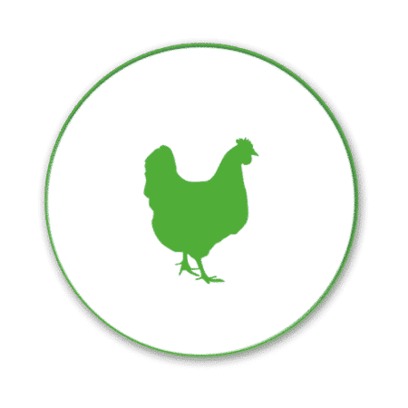 poultry solutions