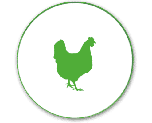 poultry solutions