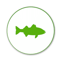 aquaculture feed additives