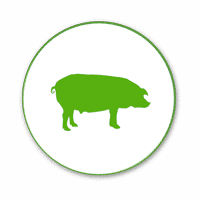 pig feed additives