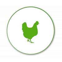 poultry feed additives - pancosma
