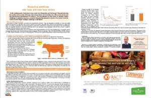 heat stress, bioactive additives, Xtract, cows