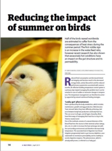 Reducing impact summer birds poultry