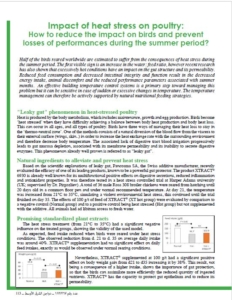 Reduce impact birds performance summer period poultry heat stress