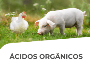 acidos organicos