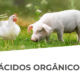 acidos organicos