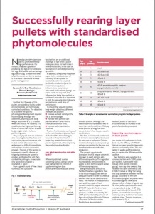 Succesfully rearing layer pullets with standardised phytomolecules