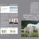 Improving results dairy cows intestinal stimulation rumen Nexulin
