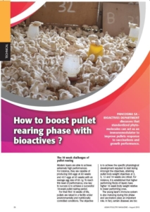 How to boost pullet rearing phase with bioactives