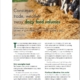 Feed Strategy interview : consumers, trade, weather sway dairy feed volumes