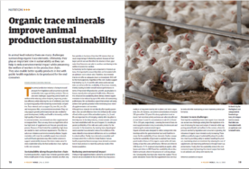 Organic trace minerals improve animal production sustainability