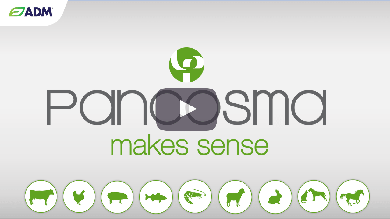 Pancosma company video