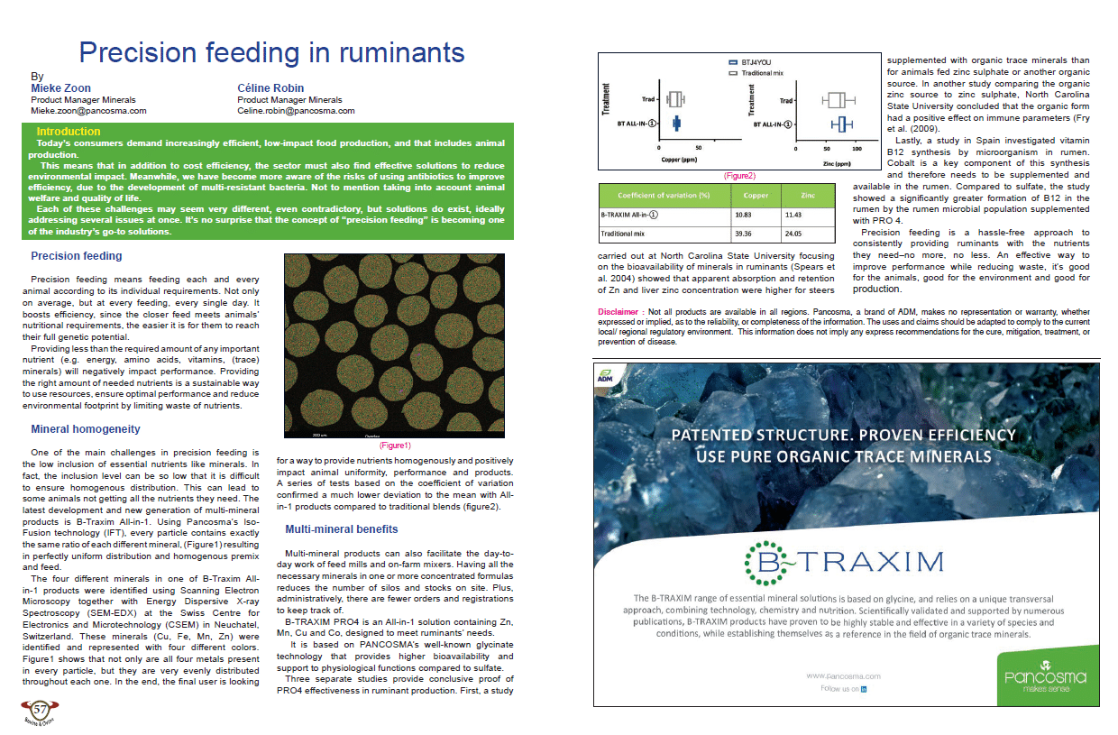 Precision feeding in ruminants | PANCOSMA