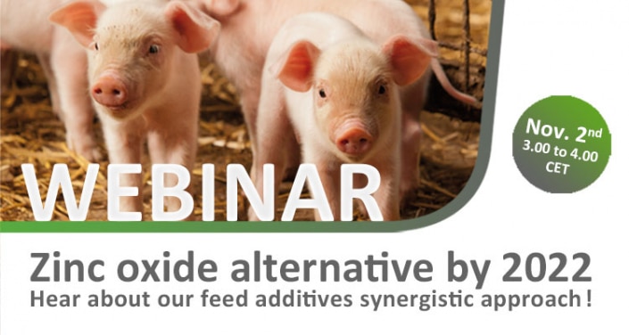 zinc oxide alternative - pigs