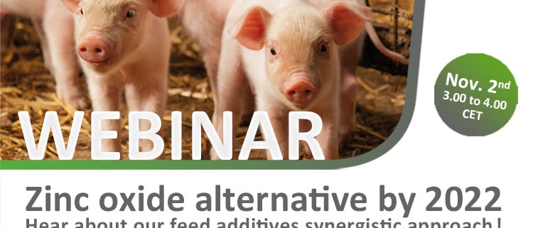 zinc oxide alternative - pigs