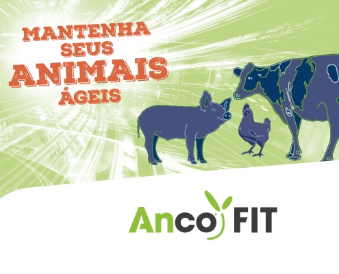 anco fit