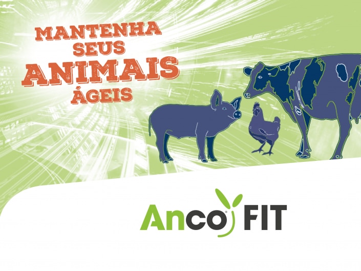 anco fit