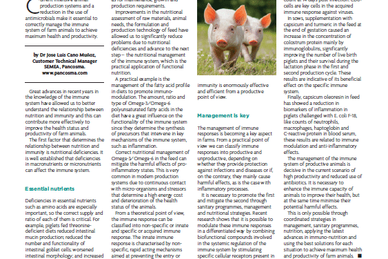Nutritional management of the pigs immune system