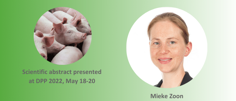 Mieke Zoon organic zinc