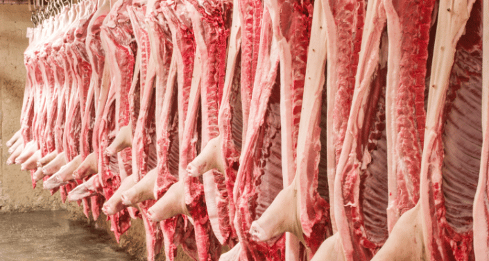 pork carcass quality organic zinc