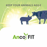 Anco FIT farm - pigs - ruminants