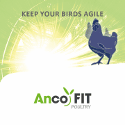 Anco FIT Poultry