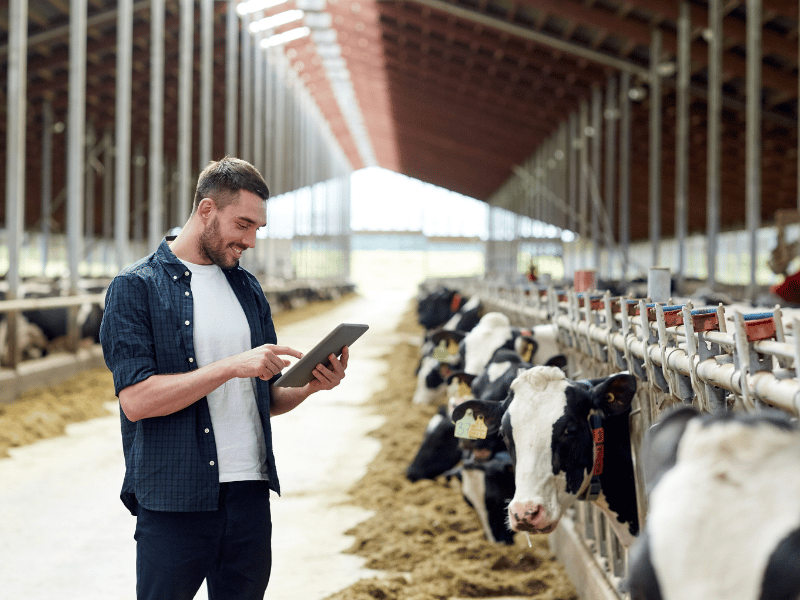 dairy farmer - ruminant solutionss